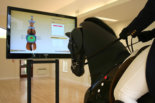 horse riding simulator
