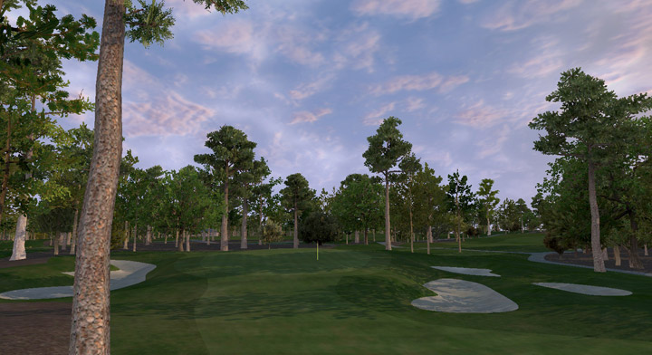 golf simulator