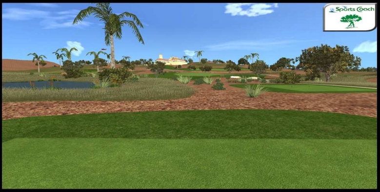 golf simulator