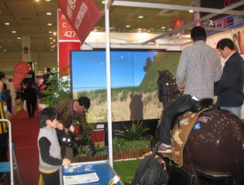 horse riding simulator