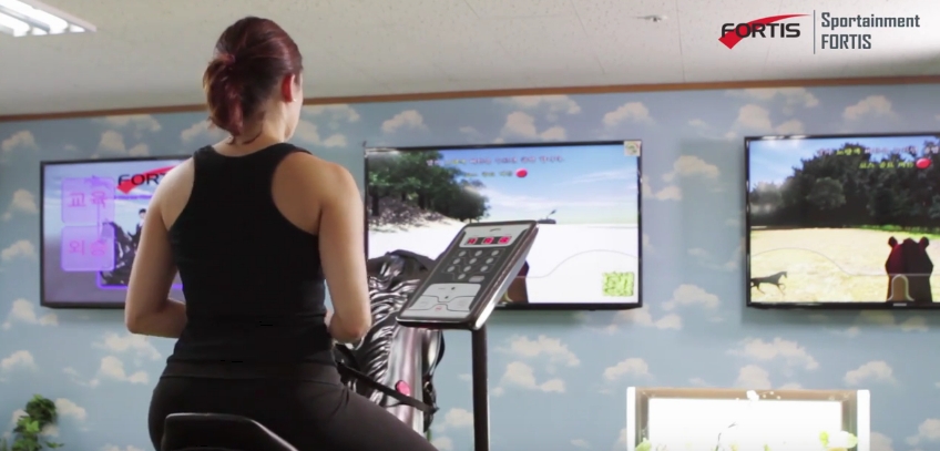 horse riding simulator