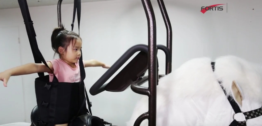 horse riding simulator