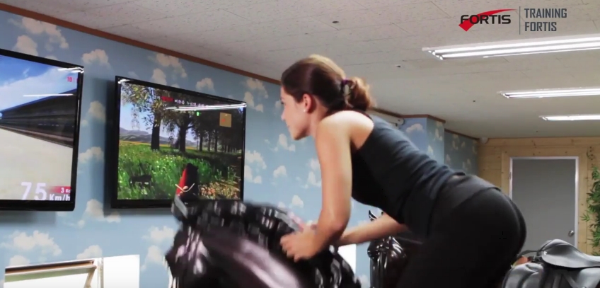 horse riding simulator