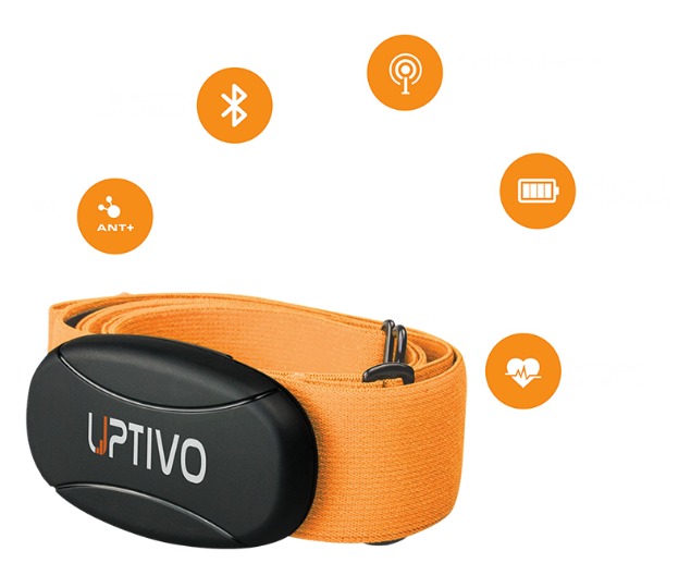 heart rate monitor belt