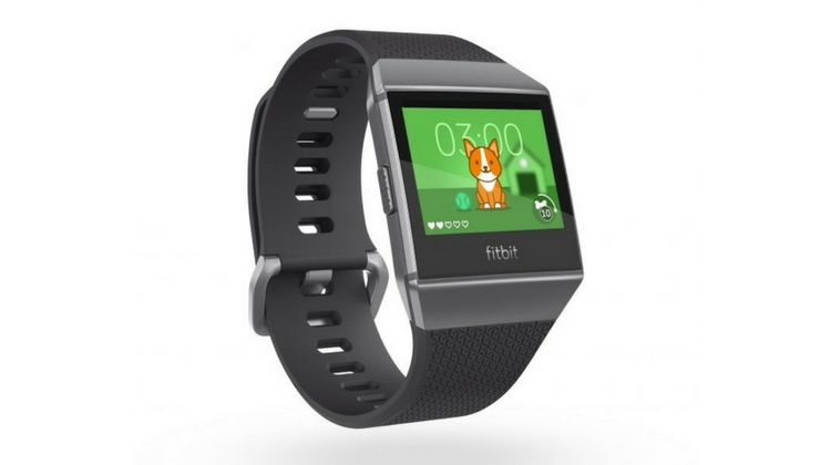 fitbit pet