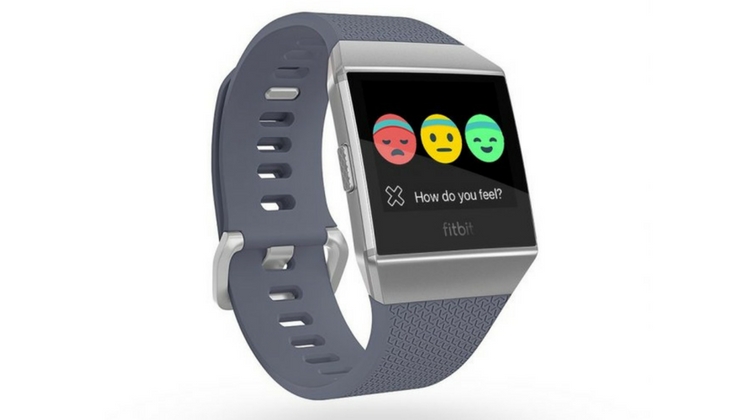 fitbit mood log