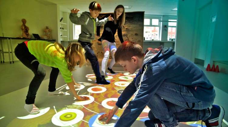 wize floor